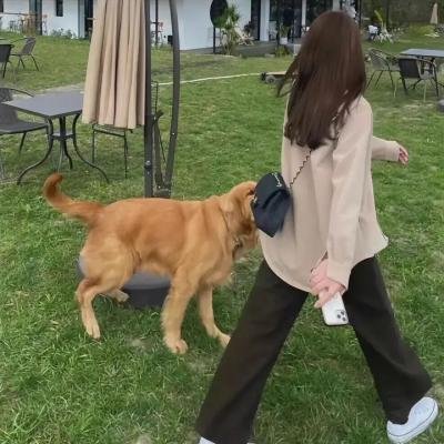 狂蟒之城